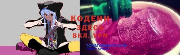 прущие крисы Кодинск